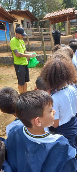 Bicho Mania 2022